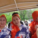 sakura_bk_2011017